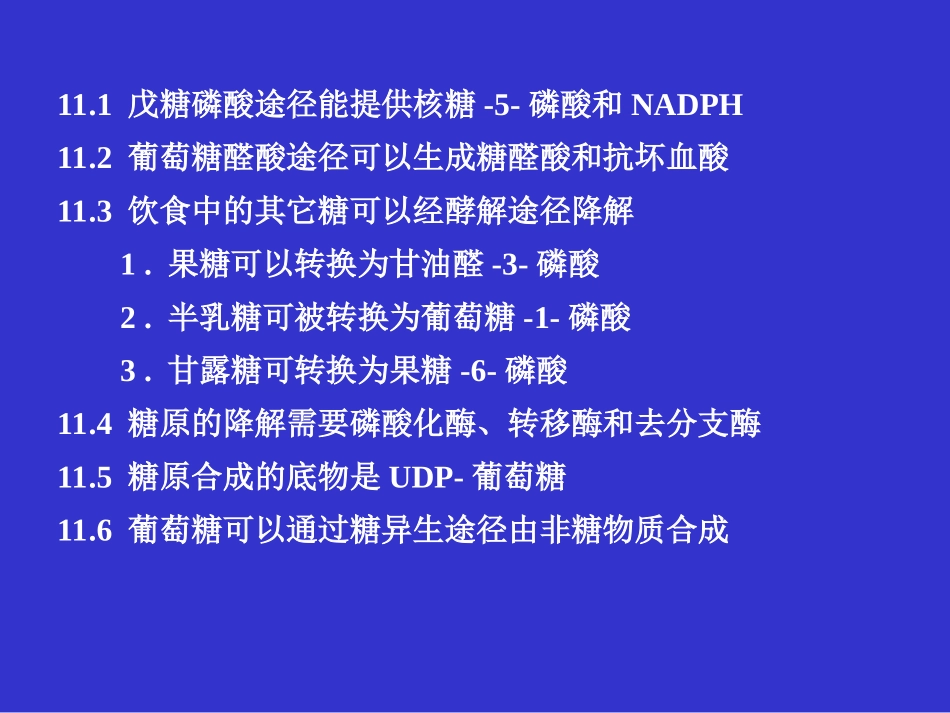 糖代谢中的其它途径_第2页