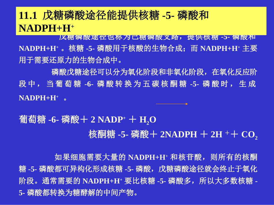 糖代谢中的其它途径_第3页