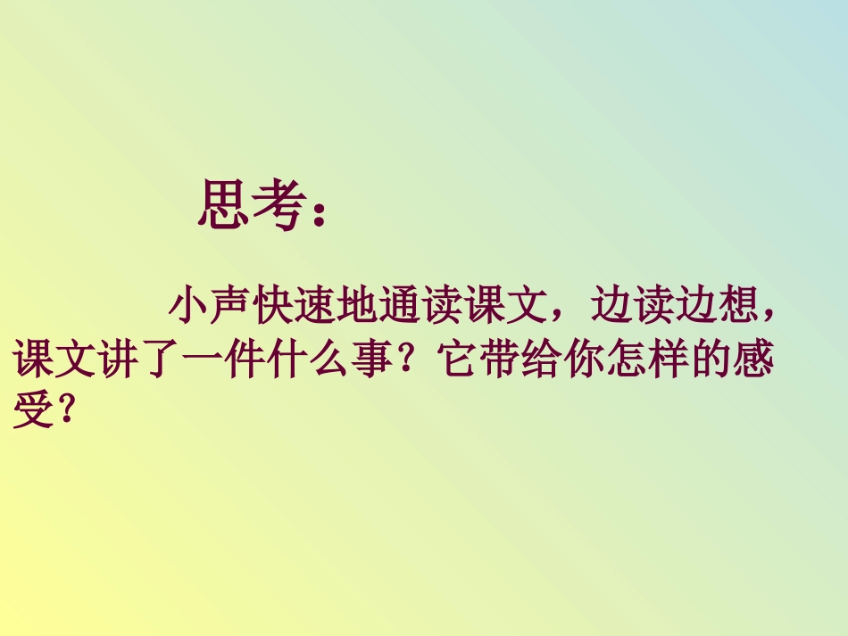 老人与海鸥课件_第3页