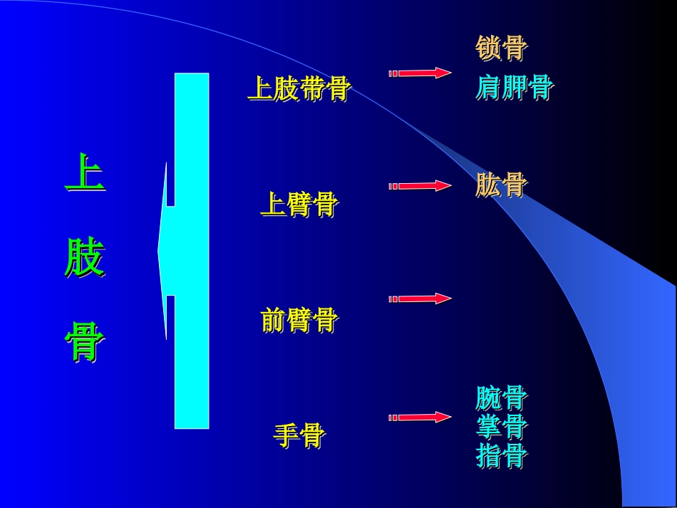 简明现代医学-上肢骨折_第2页
