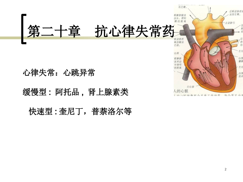 第四篇_内脏系统药理_第2页