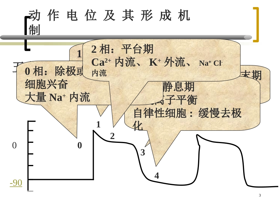 第四篇_内脏系统药理_第3页