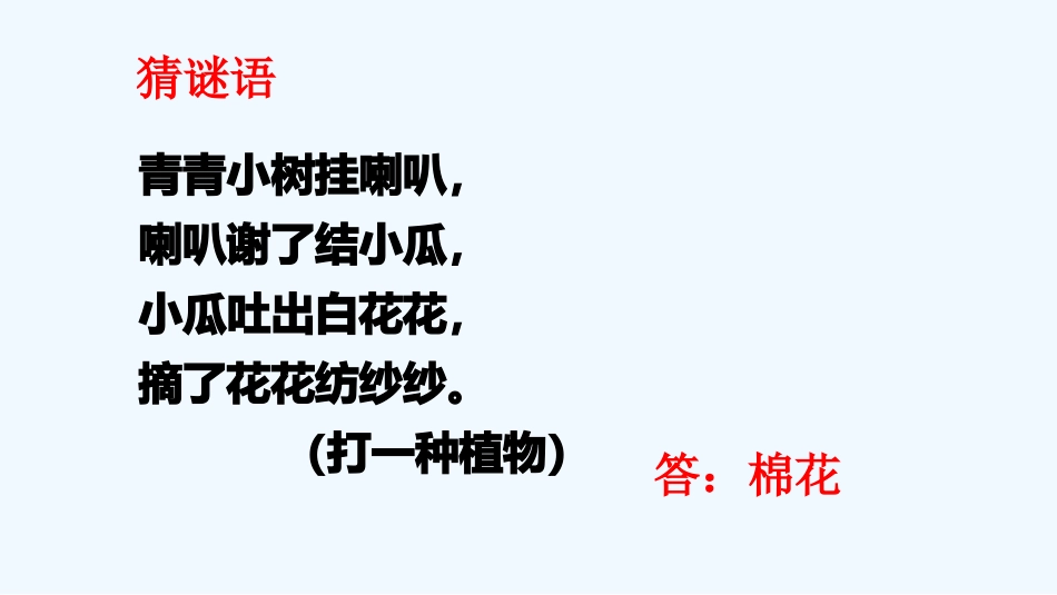 (部编)人教语文2011课标版一年级下册19-棉花姑娘-(2)_第1页