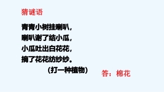 (部编)人教语文2011课标版一年级下册19-棉花姑娘-(2)