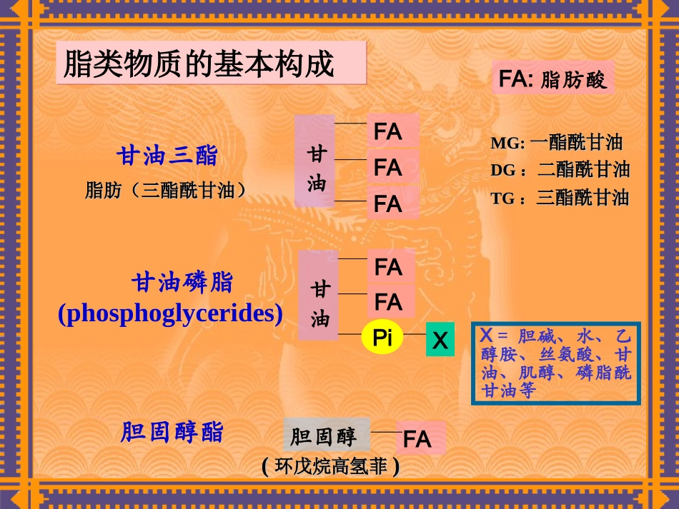 第四章.脂类和生物膜_第3页