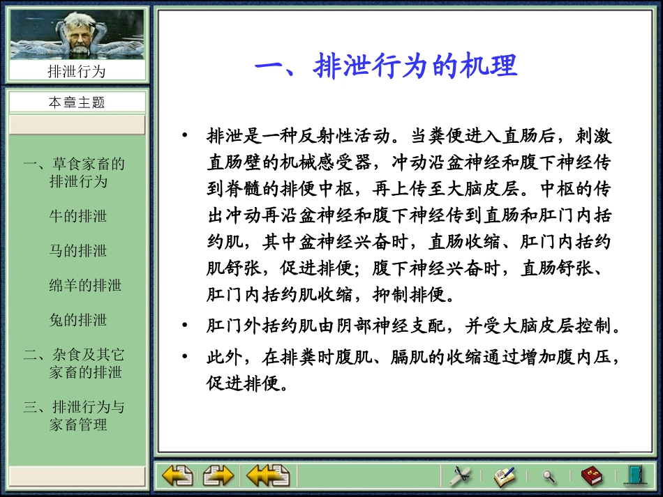 第四章_排泄行为_第2页