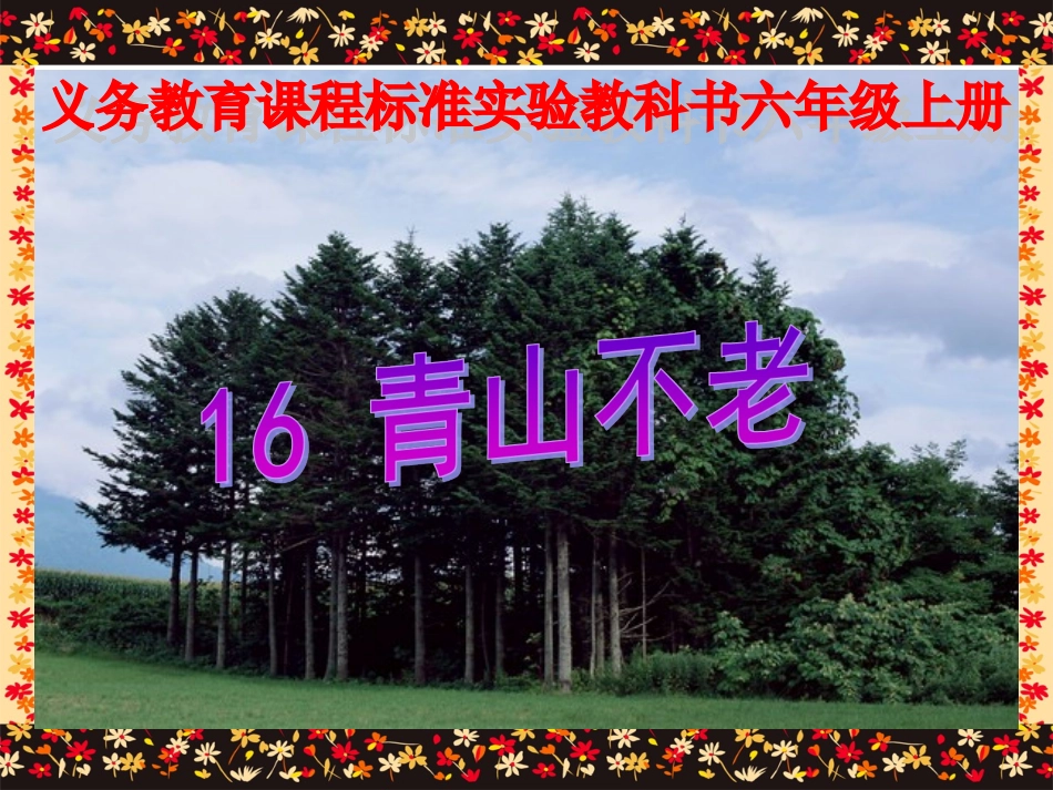 《青山不老》课件_第1页