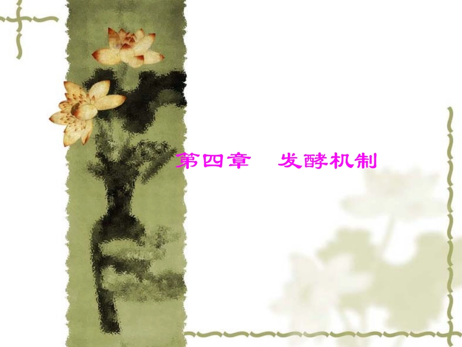 第四章 发酵机制_第1页
