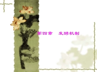 第四章 发酵机制