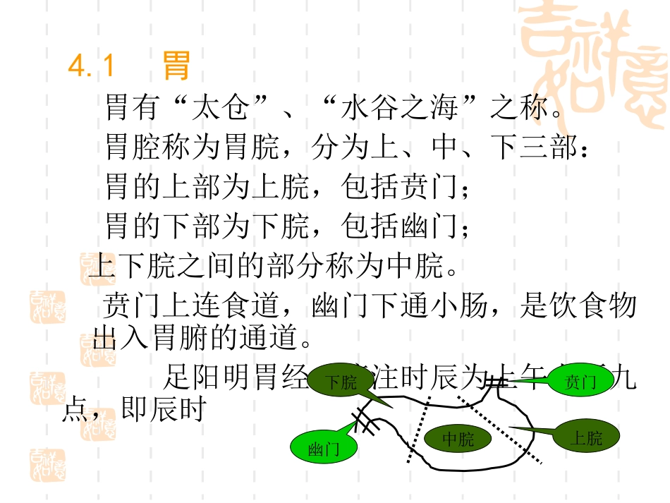 第四章  足阳明胃经_第2页
