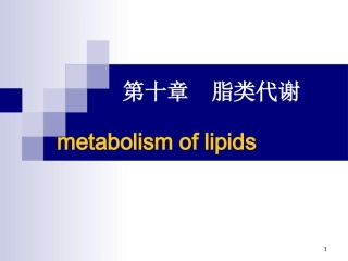 第十章 脂类代谢