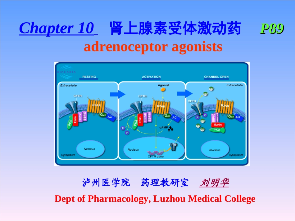 第十章肾上腺素受体激动药_第1页