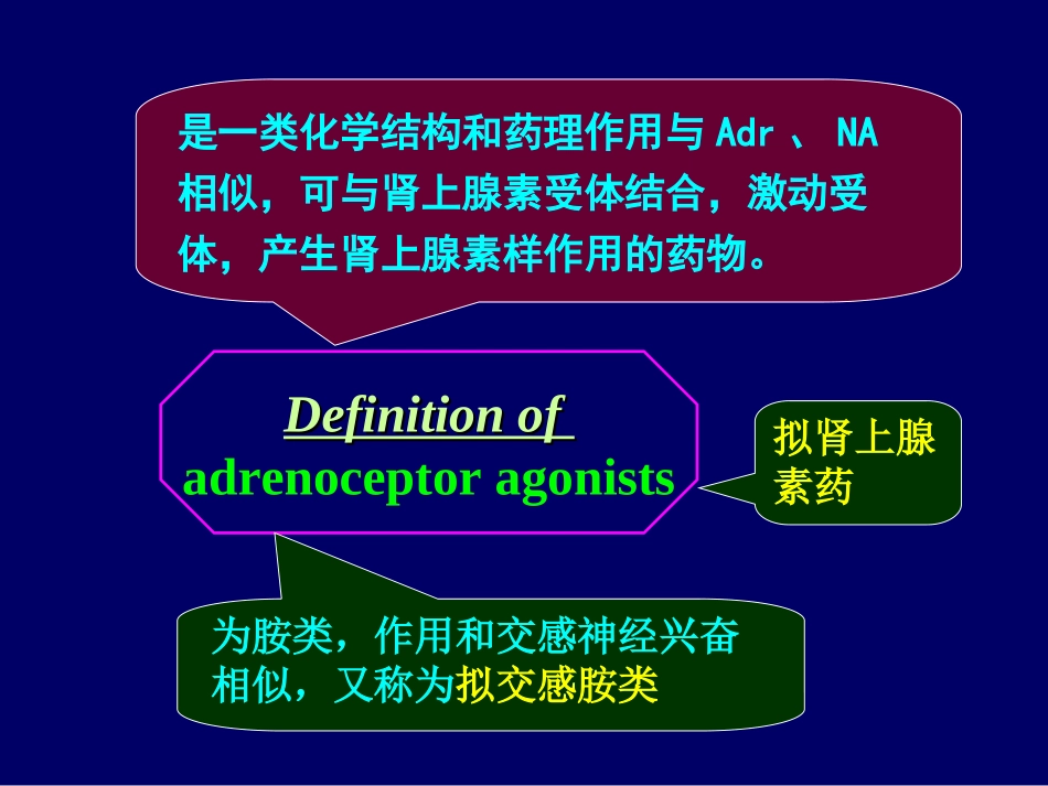 第十章肾上腺素受体激动药_第2页