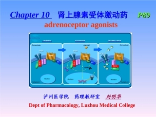第十章肾上腺素受体激动药