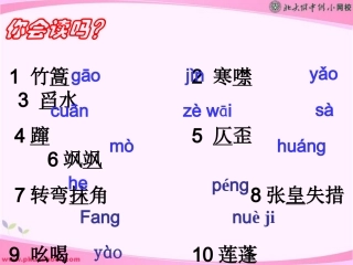 《芦花荡》课件(31页)