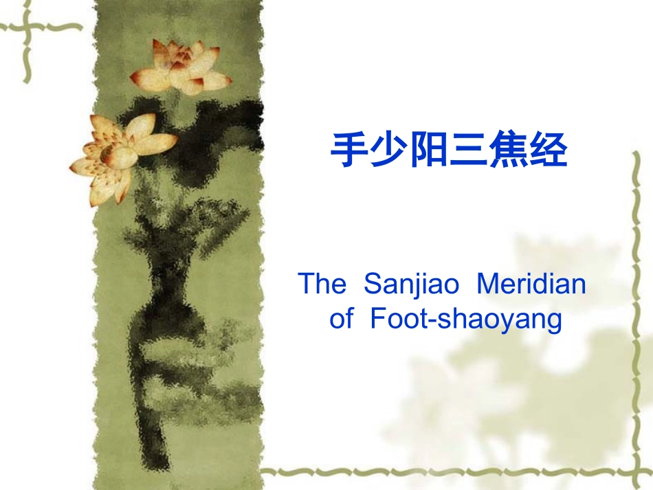 第十二章 手少阳三焦经_第1页
