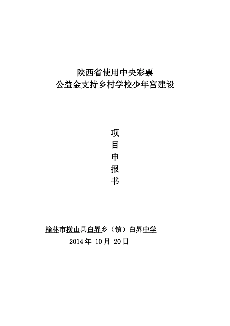 乡村学校少年宫项目申报书(白界中学)_第1页