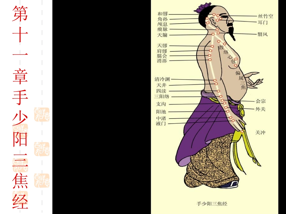 第十一章 手少阳三焦经_第1页
