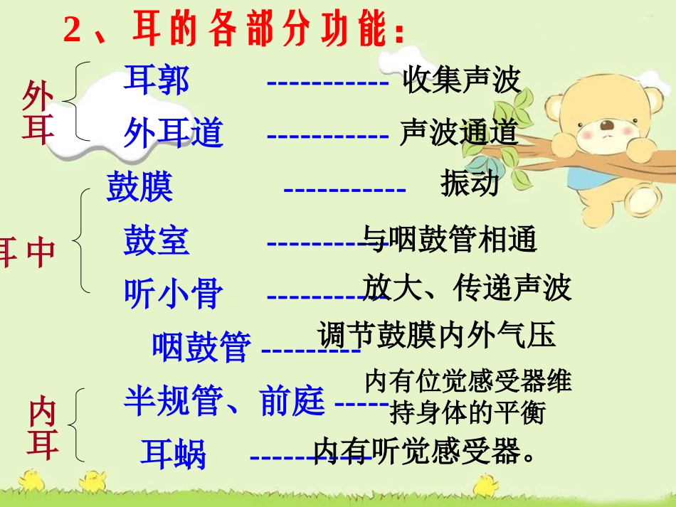 第六课时我们是怎样听到声音的_第3页