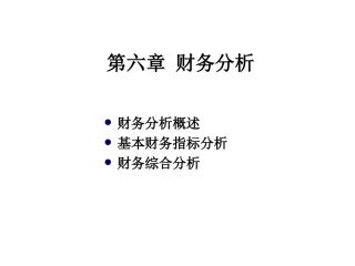 第六章_财务分析