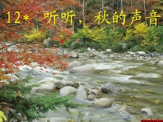听听-秋的声音
