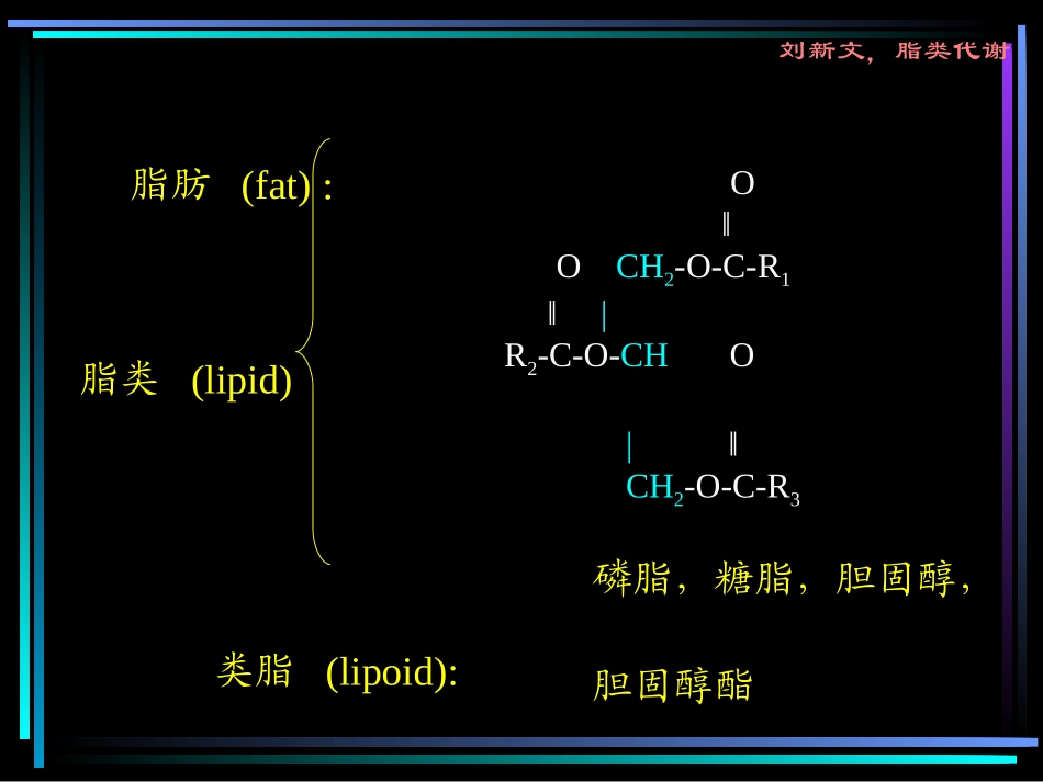 第六章 脂类代谢_第2页