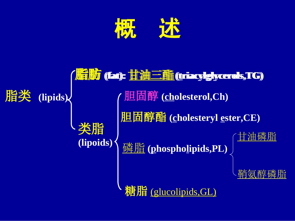 第六章 脂类代谢 第一节三酰甘油代谢_第3页