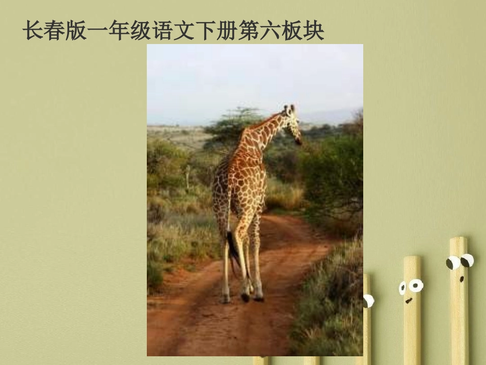 《脖子的妙用》PPT课件_第1页