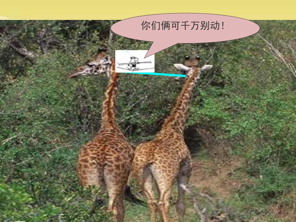 《脖子的妙用》PPT课件_第3页