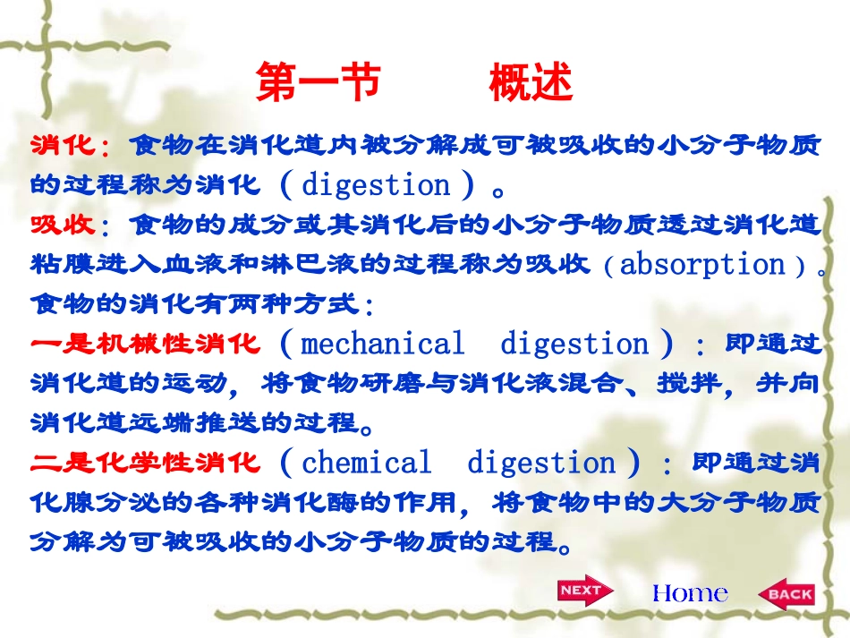 第六章  消化与吸收_第3页