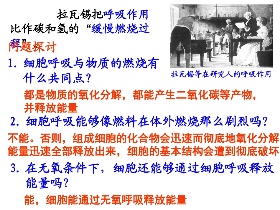 第五章第三节ATP的主要来源---细胞呼吸_第2页