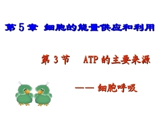 第五章第三节ATP的主要来源---细胞呼吸