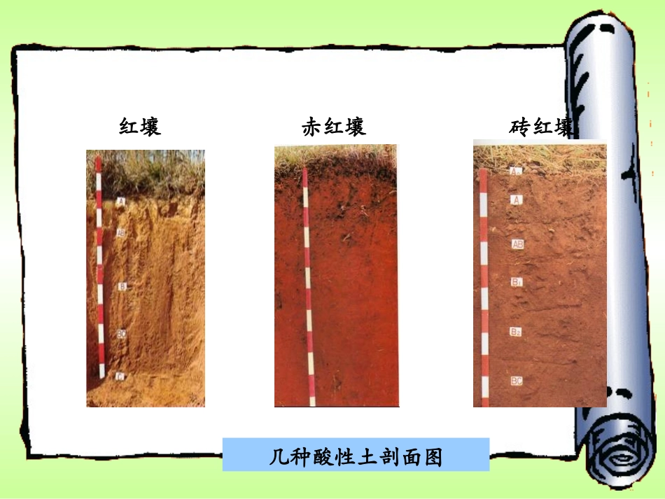 第五章土壤酸碱性_第3页