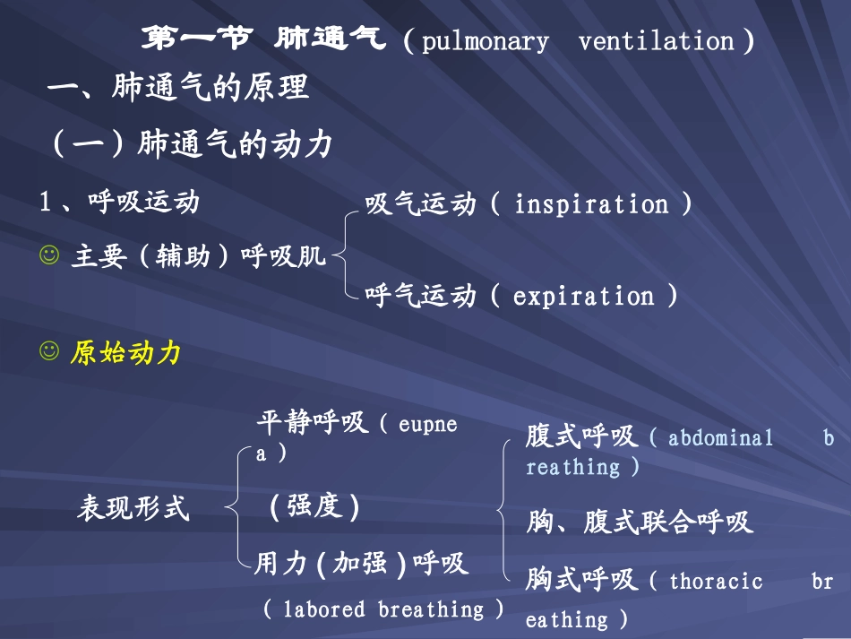 第五章 呼吸和体温_第2页