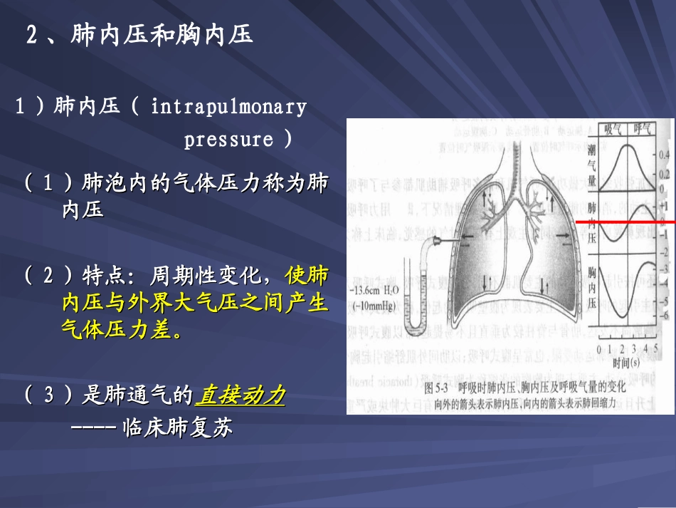 第五章 呼吸和体温_第3页
