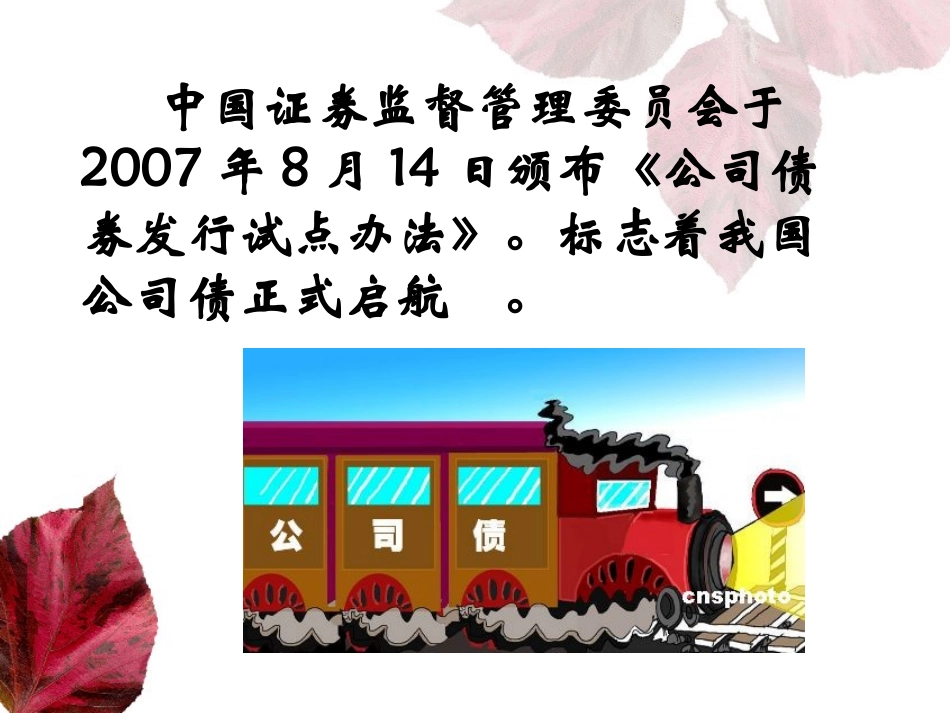 第五章   长期筹资方式_第2页