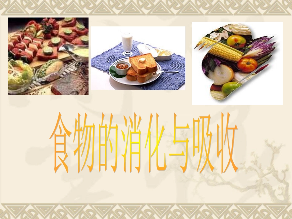 第二节 消化和吸收_第2页
