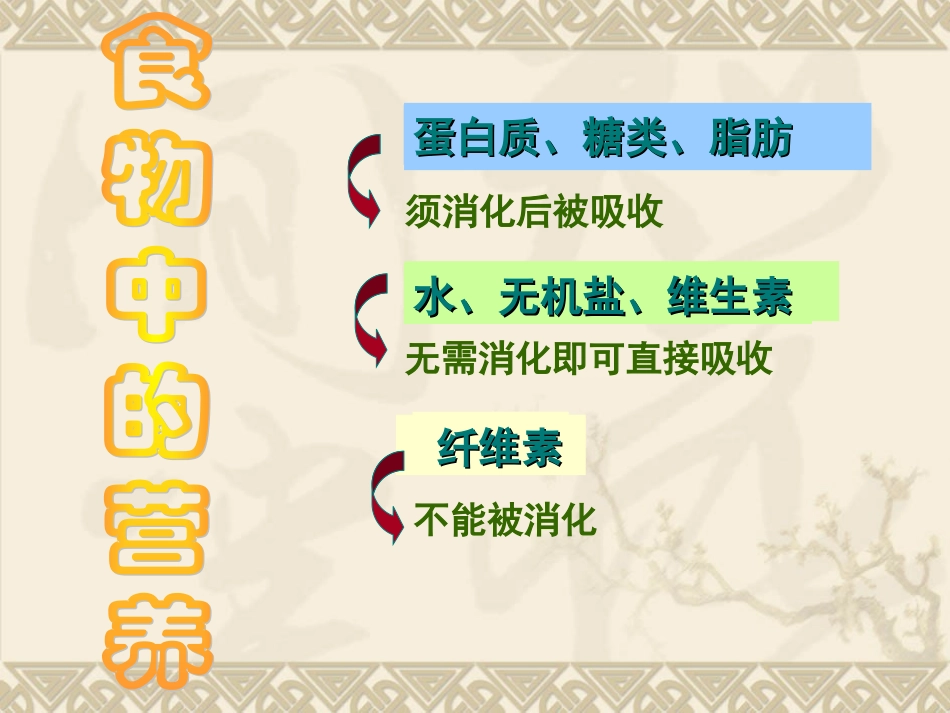 第二节 消化和吸收_第3页