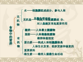 第二节 消化和吸收