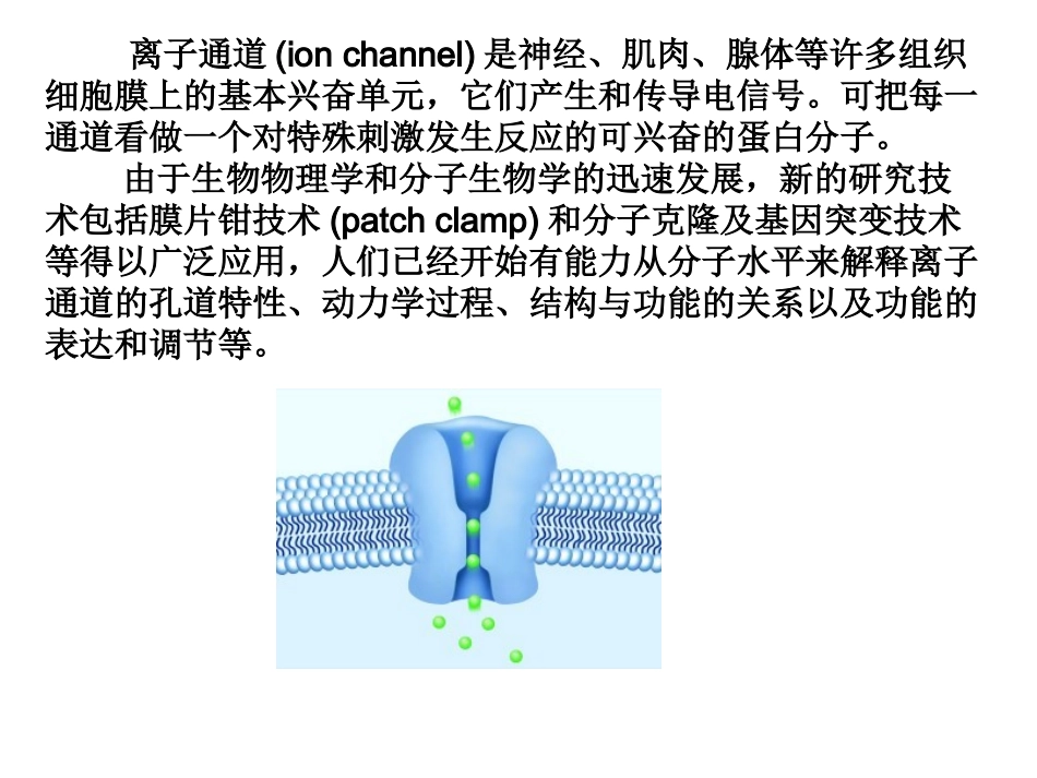 第二节_离子通道_第3页