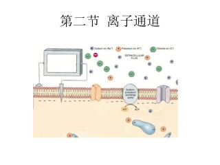 第二节_离子通道