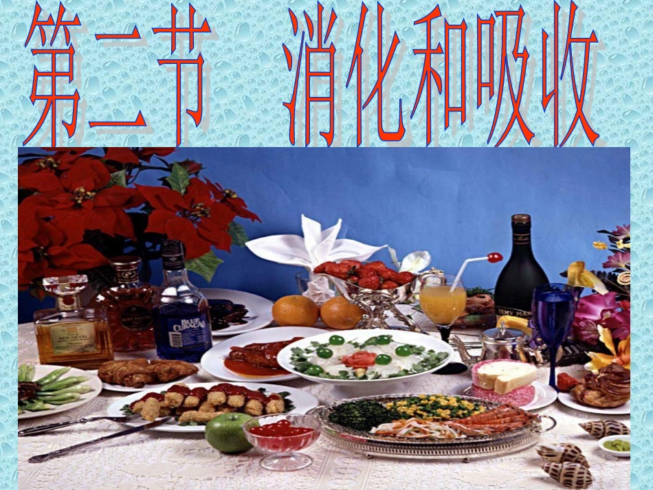 第二节  消化和吸收_第1页