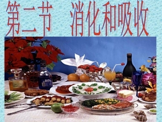 第二节  消化和吸收