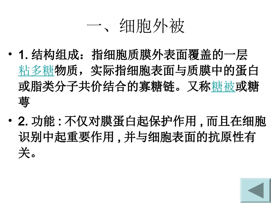 第二节  细胞外被与细胞外基_第2页