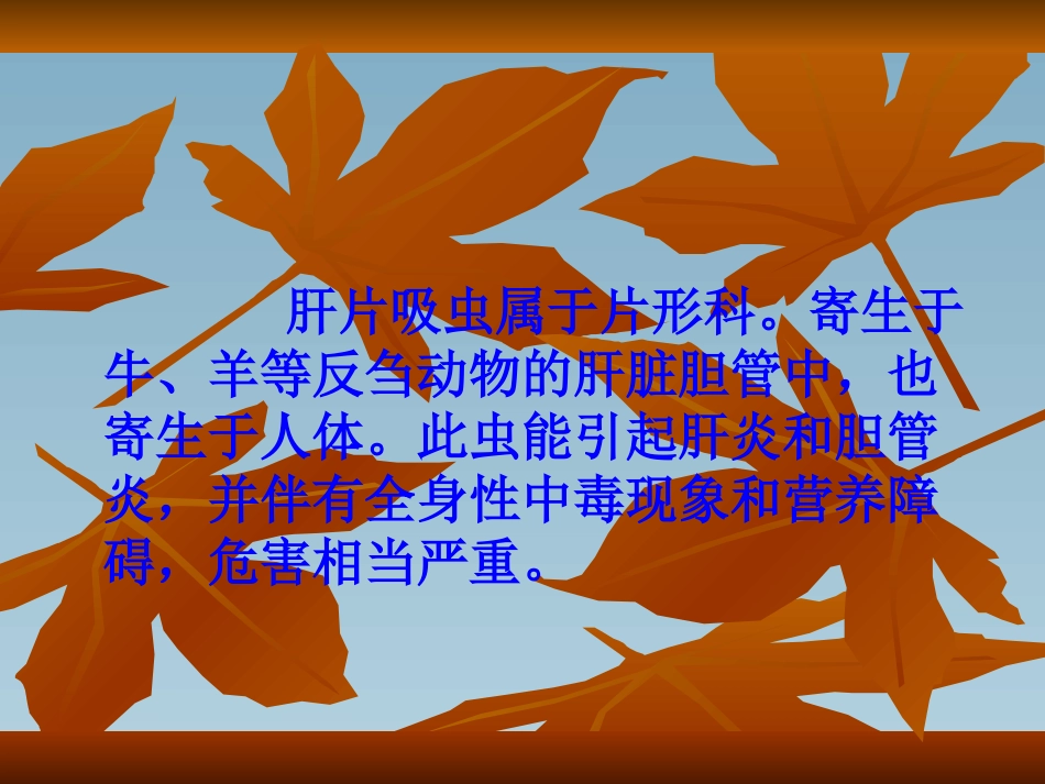第二节  肝片吸虫病_第2页