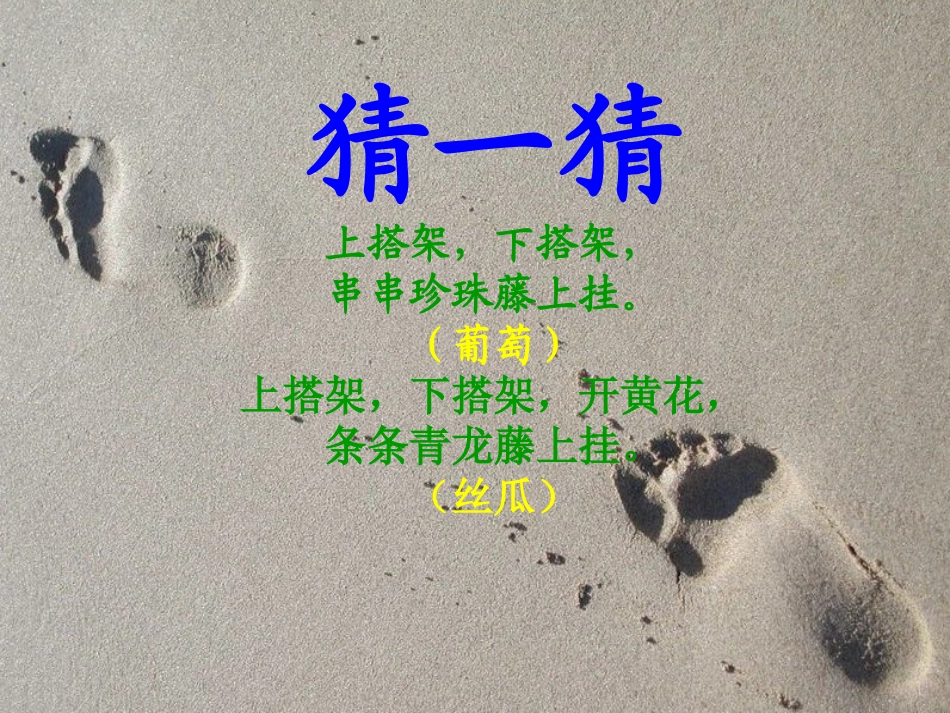 爬山虎的脚-(2)_第1页