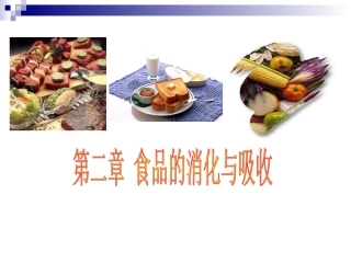 第二章 食物的消化和吸收