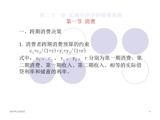 第二十一章：宏观经济学的微观基础