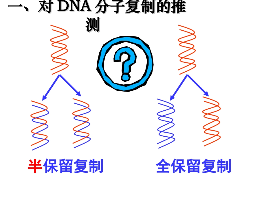 3.3《DNA的复制》课件4_第1页