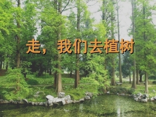 1、走-我们去植树